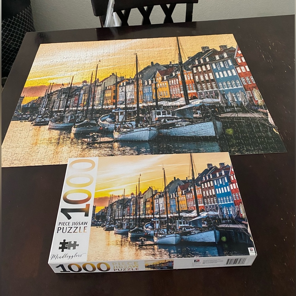 1000 piece jigsaw puzzle.